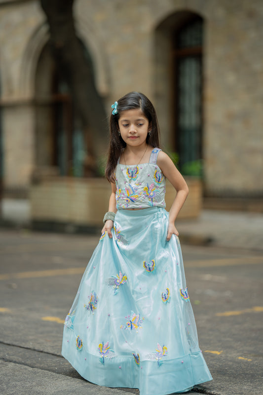 Butterfly mirage lehnga set