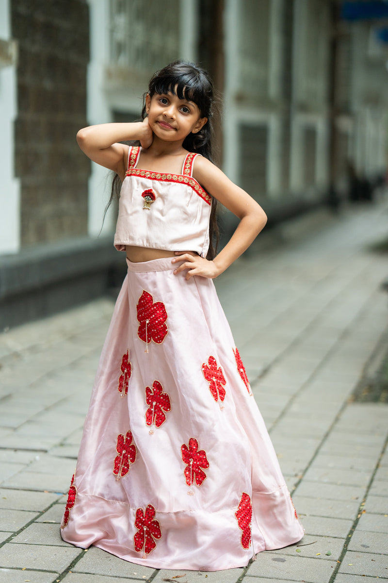Lehnga set